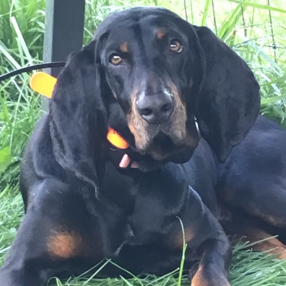 Meet your Posher, Kelli-beth - Picture 6 of 9